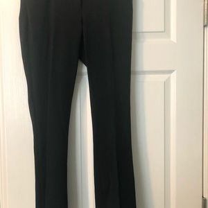 NWT Express Columnist Pant